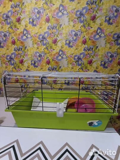 Клетки для грызунов бу