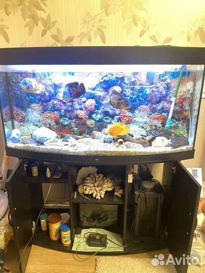 Аквариум juwel 260 литров с тумбой