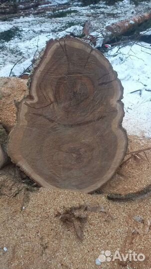 Слэб дерева и спилы