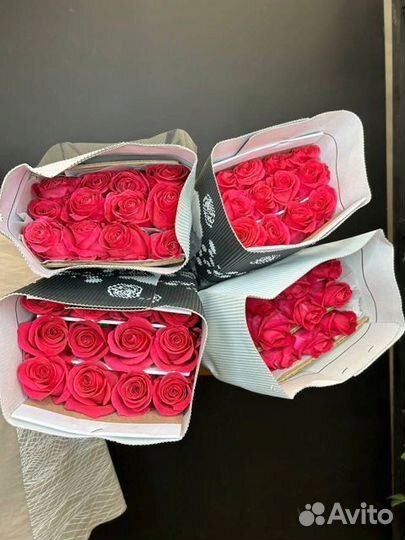 Роза Эквадор Опт