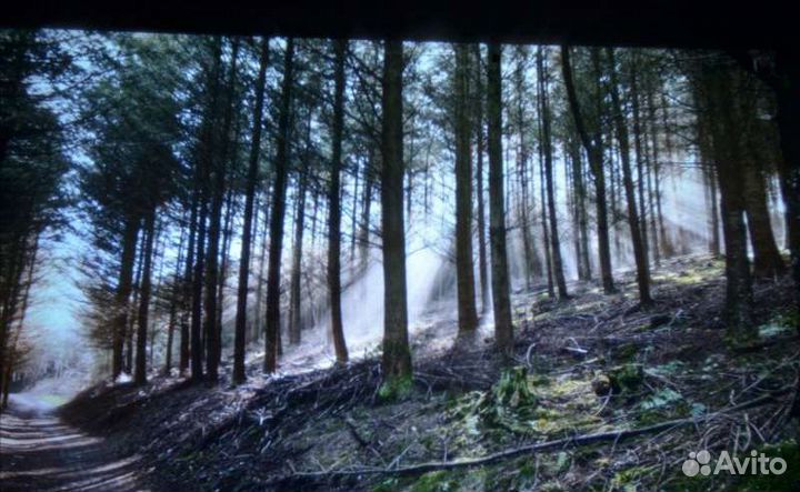 Thundeal TD90+аксессуары