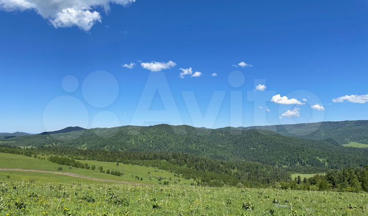 Участок 39,9 сот. (СНТ, ДНП)