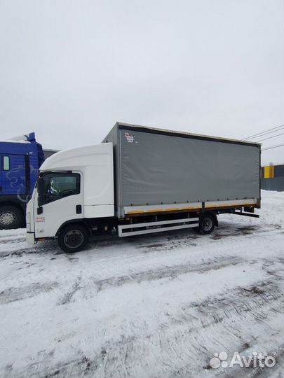 Isuzu Elf (N-series), 2020