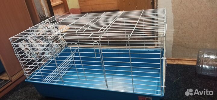 Клетка для кролика, морской свинки