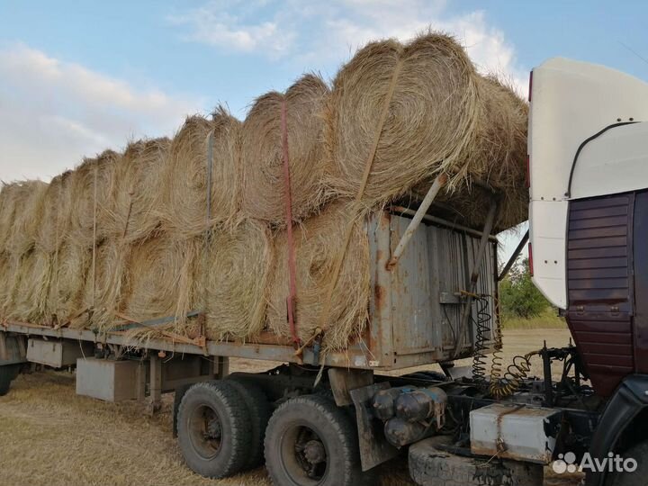 Сено в рулонах с доставкой