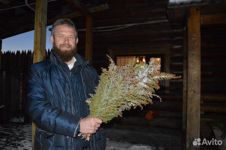 Можжевеловый веник тувинский для бани