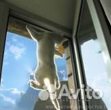 Сетки на окна Антикошка, Антикоготь, Антиклюв