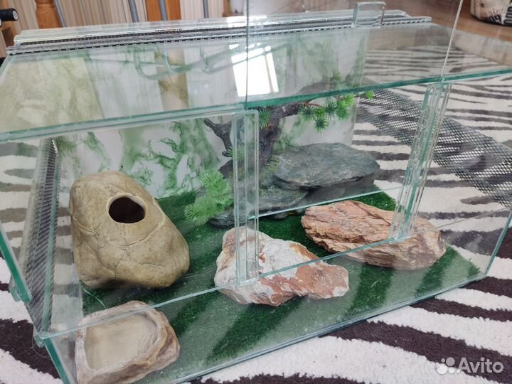 Террариум для эублефара