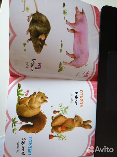 Детская развивающая книга на английском языке