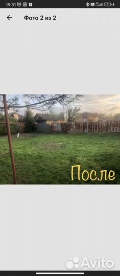 Спил и обрезка деревьев