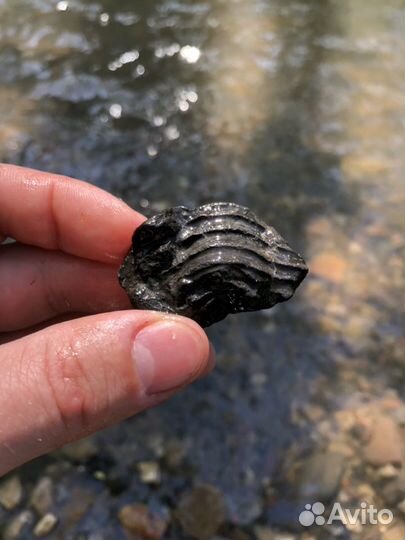 Экскурсия к месту залегания окаменелостей