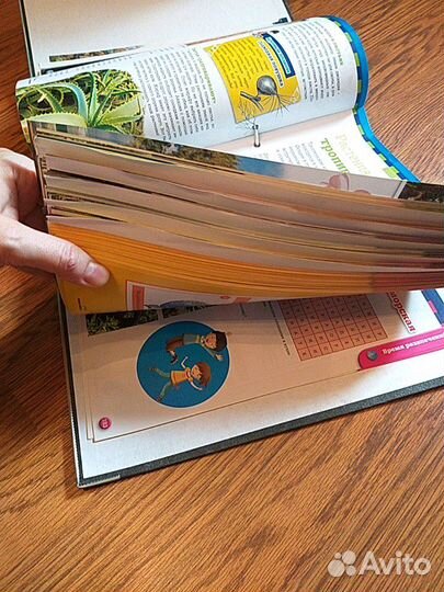 Сборная модель Земли