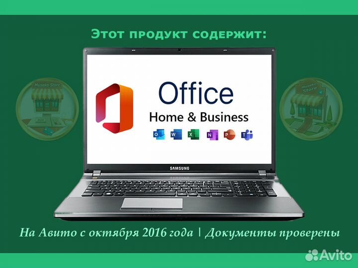 Microsoft Office Home and Business 2019 / 2013