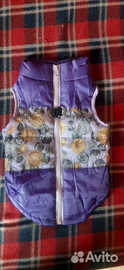 Одежда для маленьких собак