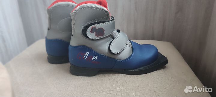 Лыжные ботинки