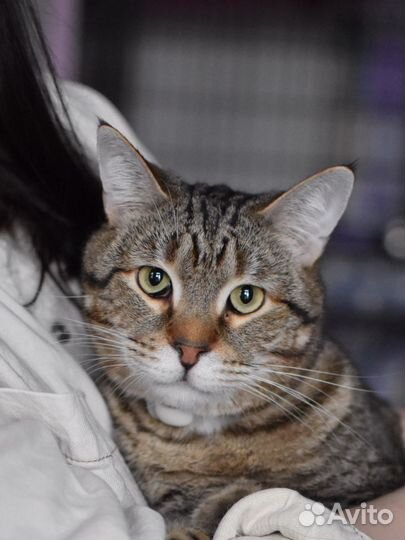 Пуфель сладкий пирожок