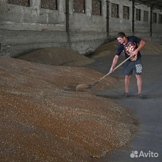 Разнорабочий с ежедневной оплатой