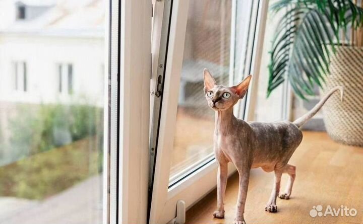 Остекление лоджий