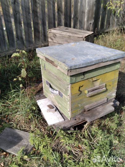 Улья и пчёлы