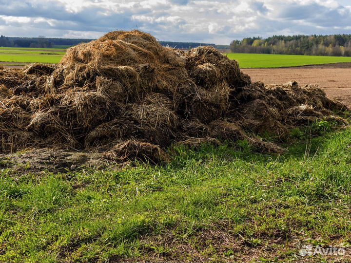 Навоз перегной