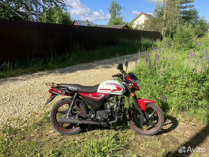 Мопед Motoland Alpha RS 11