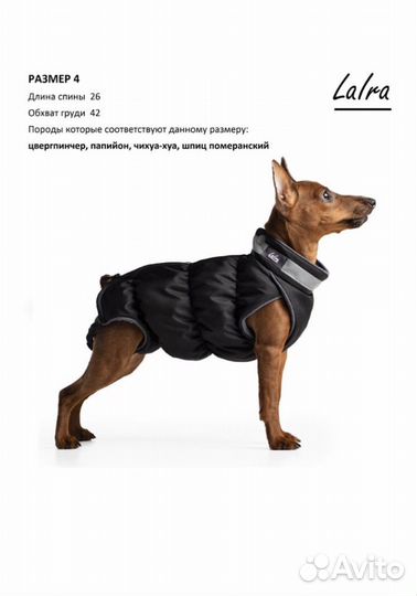 Жилетка для собаки LaIra мальчик