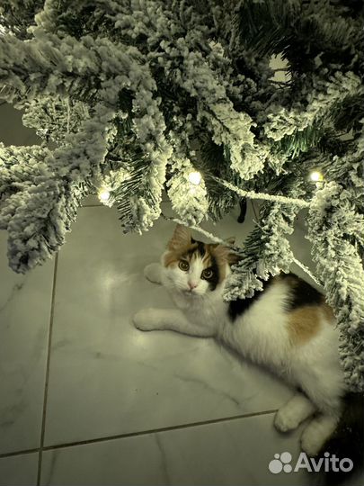 Новые ели искуственные с встроенной гирляндой