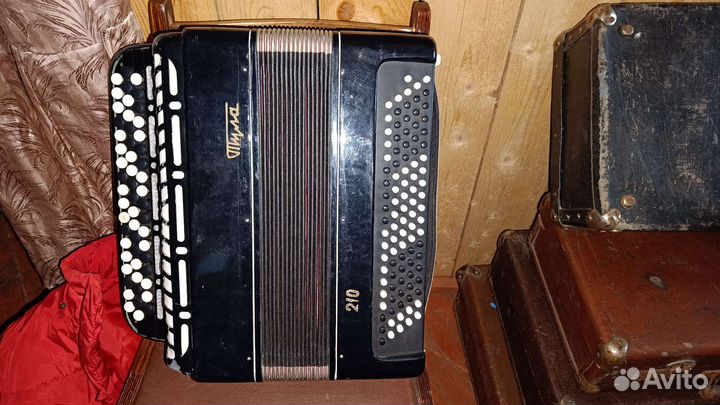 Баян тула 210