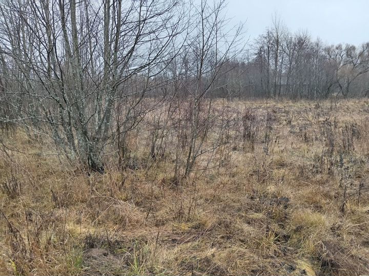 Участок 18 сот. (ИЖС)