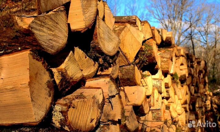 Дрова в ло