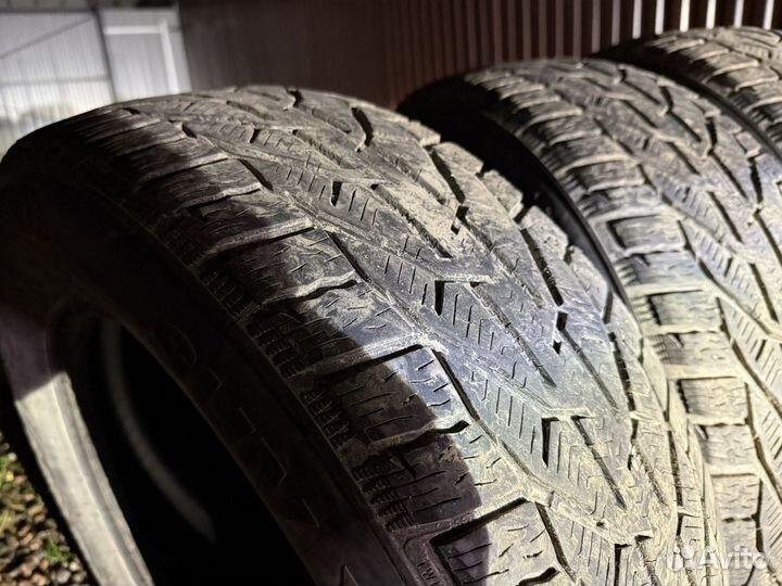 Tigar SUV Winter 215/65 R16