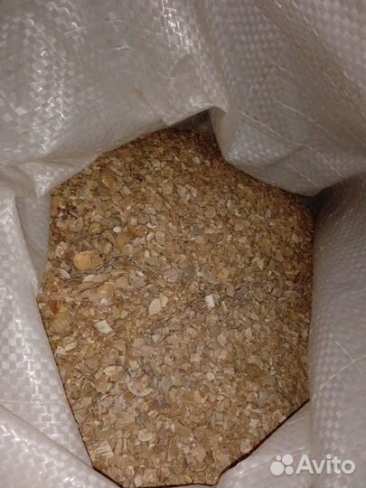 Ракушка кормовая