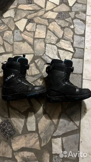 Сноуборд и ботинки