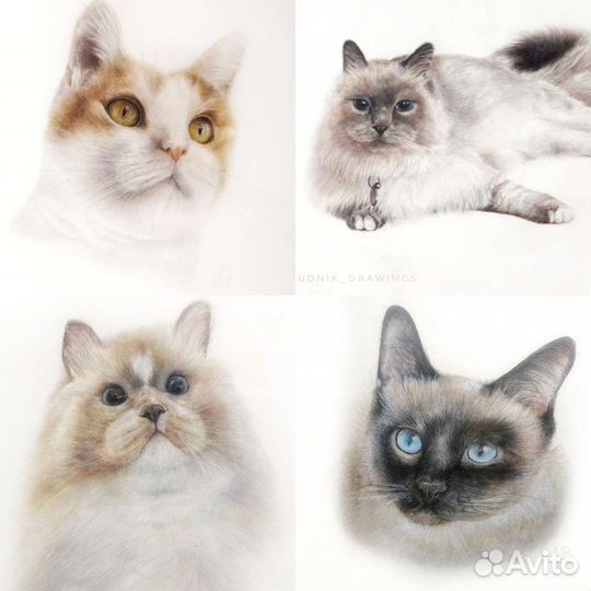 Нарисую вашего любимого питомца