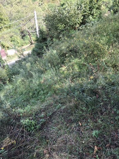 Участок 5,5 сот. (СНТ, ДНП)