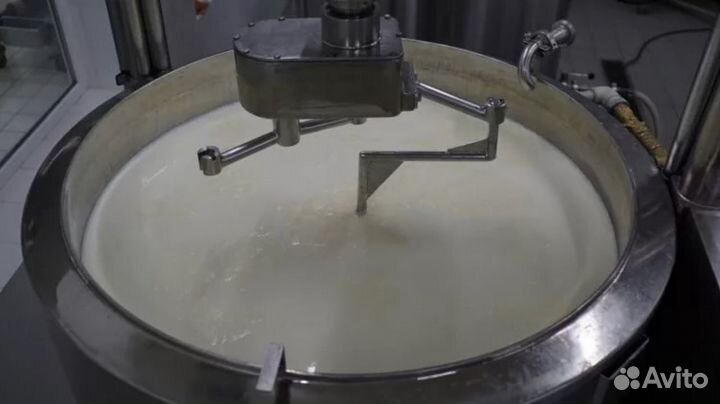 Молоко для сыроделия