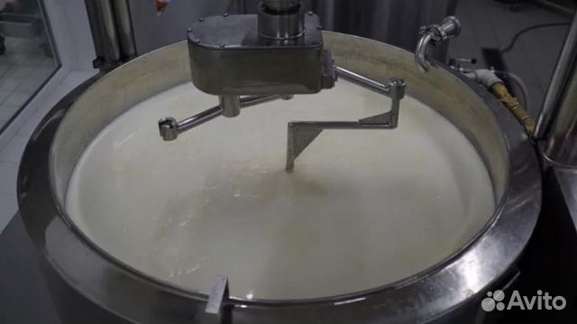 Молоко для сыроделия