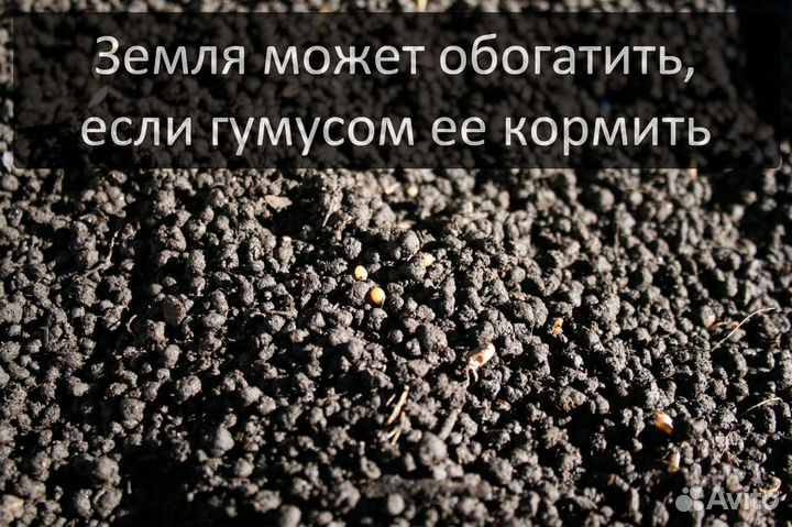 Биогумус, (лучшее органическое удобрение)