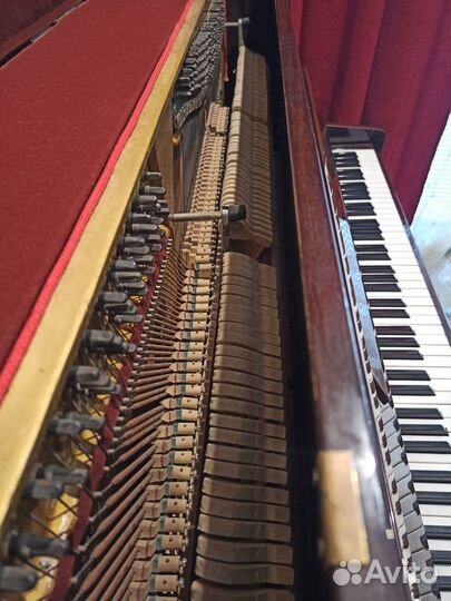 Пианино Ноктюрн