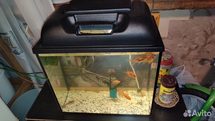 Аквариум 25л