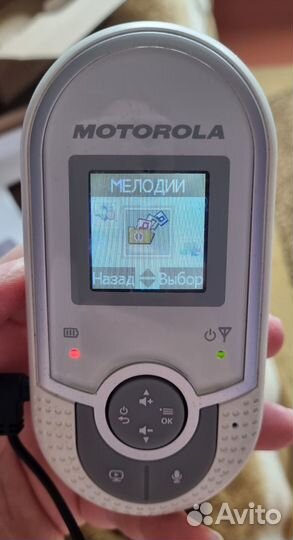 Видеоняня motorola