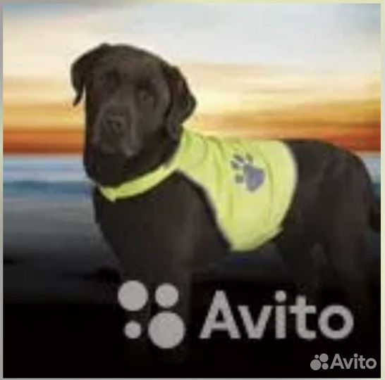 Товары для животных