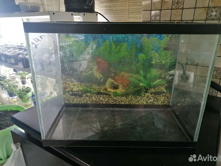Аквариум