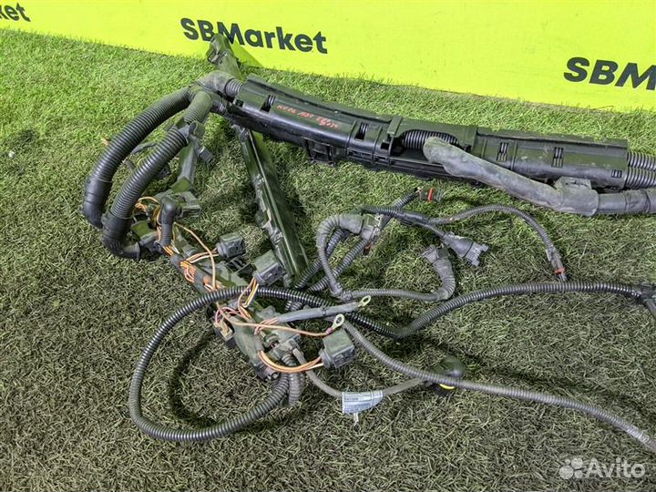 Коса двигателя Bmw X5 E70 N52B30AF 2008