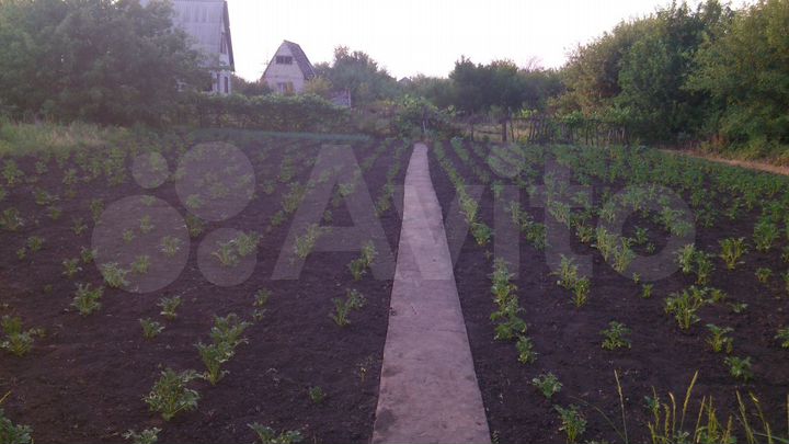 Участок 4 сот. (СНТ, ДНП)
