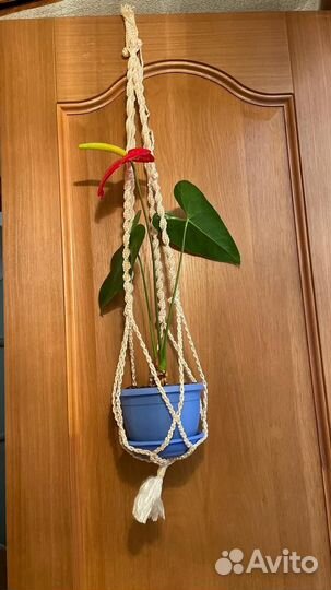 Кашпо горшок для цветов фиалок