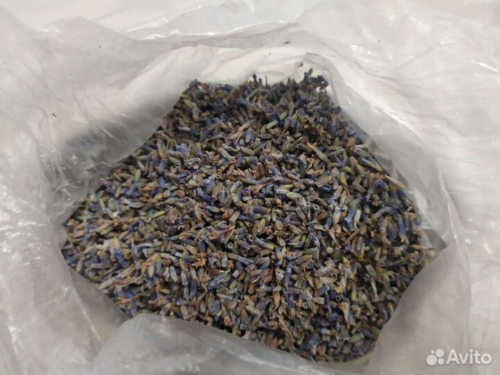 Лаванда сухоцвет цветки