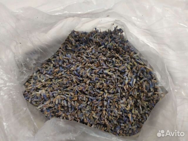 Лаванда сухоцвет цветки