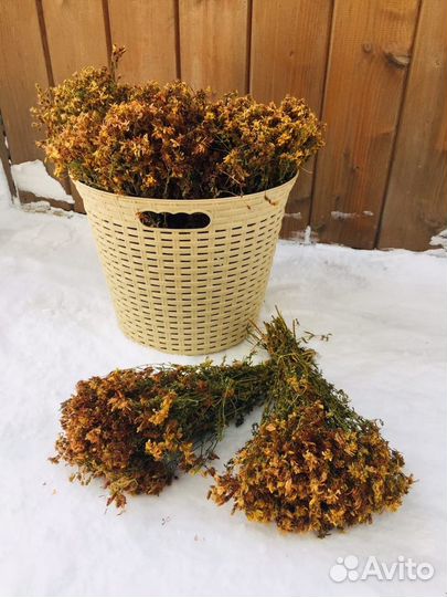Травы для бани,веники