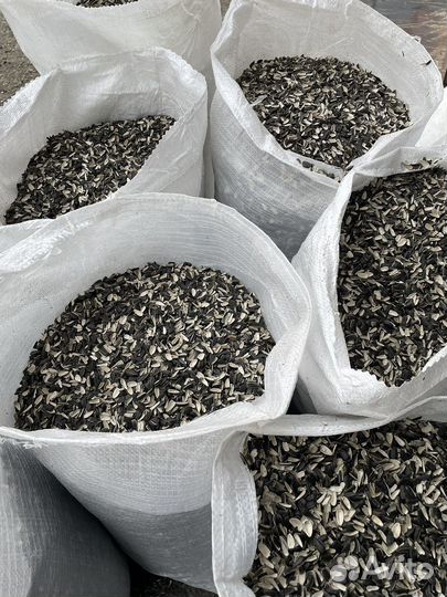 Лузга,шелуха подсолнечника